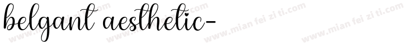 belgant aesthetic字体转换